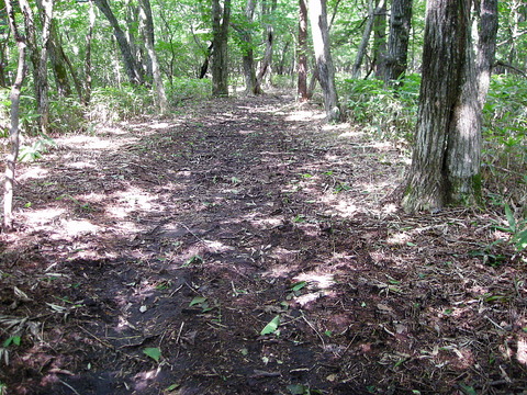 Photo0081