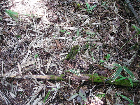 Photo0082