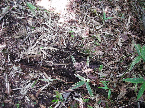 Photo0083