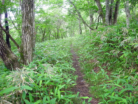 Photo0007