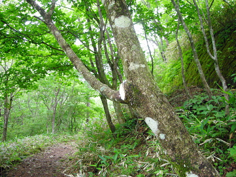 Photo0002