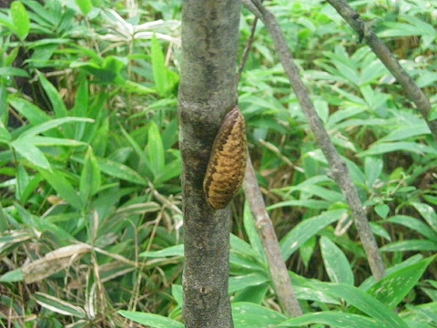 Photo0024