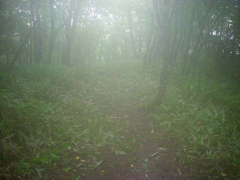Photo0045