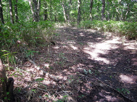 Photo0057