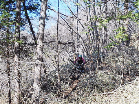 Photo0068