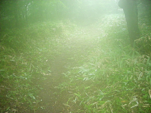 Photo0048