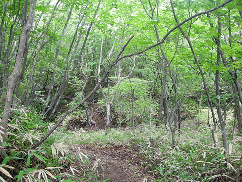 Photo0003