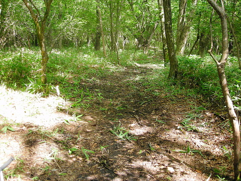 Photo0045