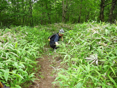 Photo0008