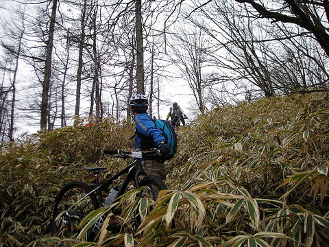 Photo0036
