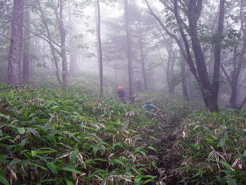 Photo0087