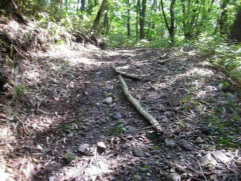Photo0056