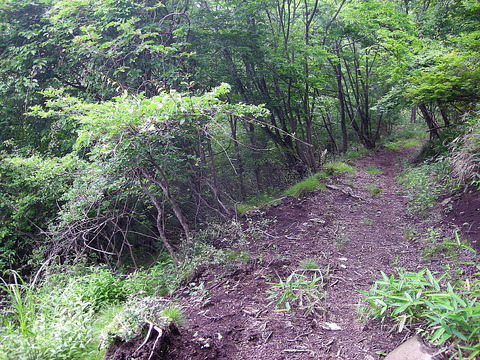 Photo0051
