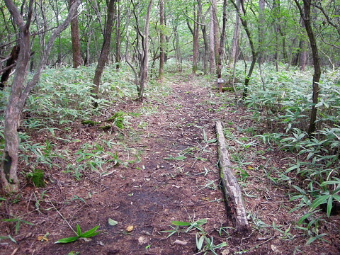 Photo0025