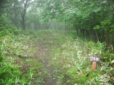 Photo0021
