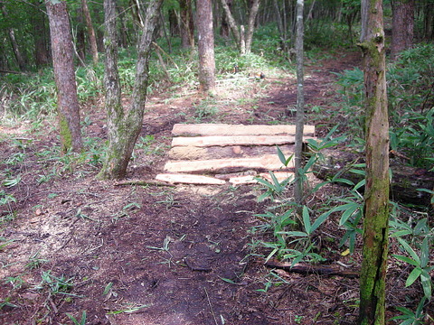Photo0027