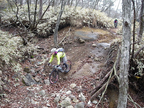 Photo0007