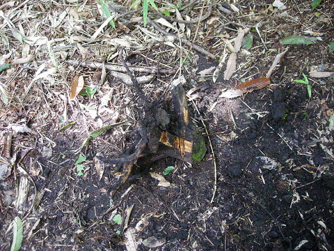 Photo0086