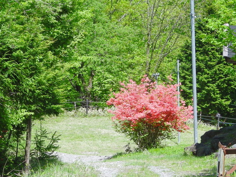 Photo0060