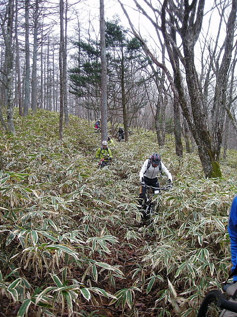 Photo0043