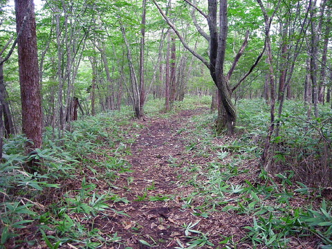 Photo0015
