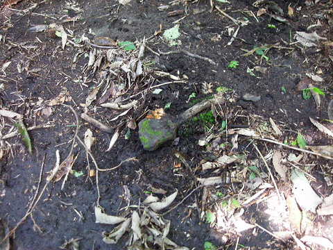 Photo0085