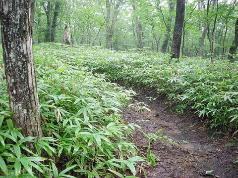 Photo0001