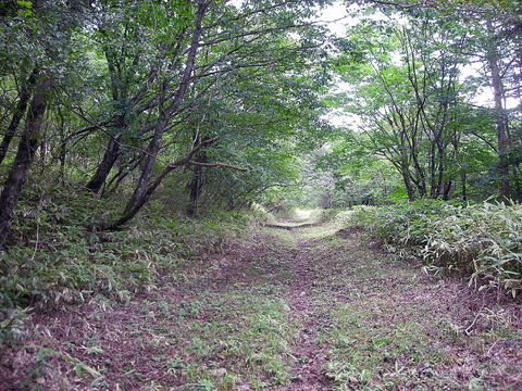 Photo0253