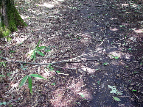 Photo0069
