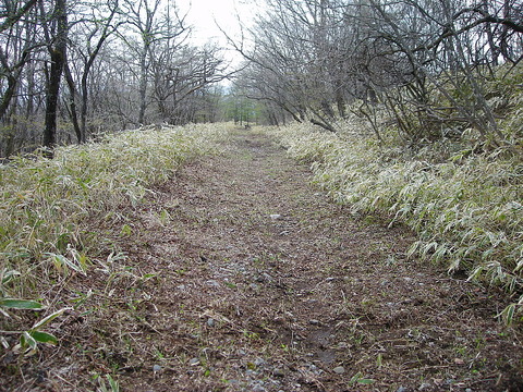 Photo0112