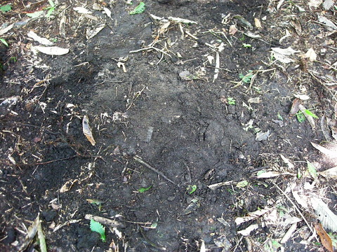 Photo0087
