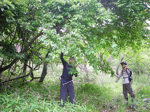 Photo0029