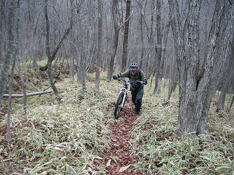 Photo0099