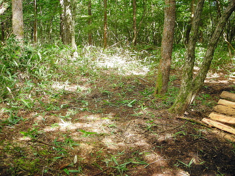 Photo0029