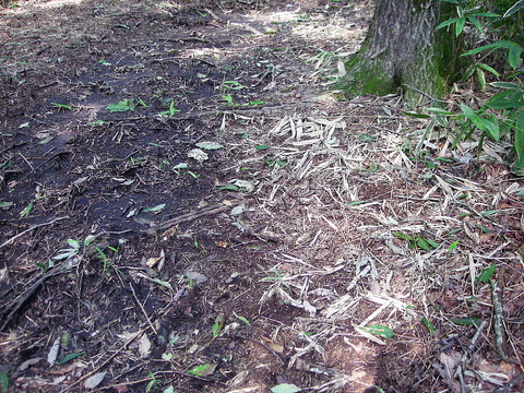 Photo0063