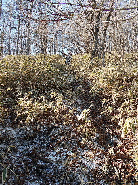 Photo0008