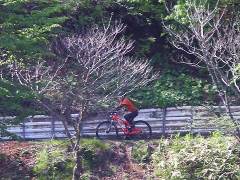Photo0061