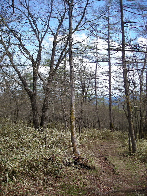 Photo0070