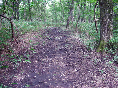 Photo0058