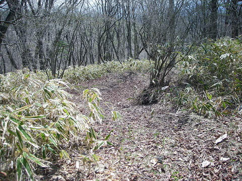 Photo0116