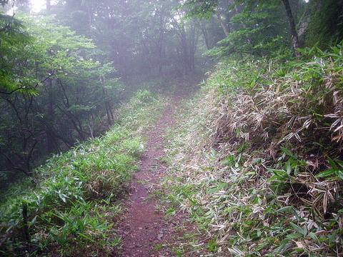 Photo0028