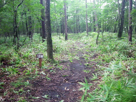 Photo0025