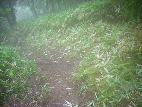 Photo0039