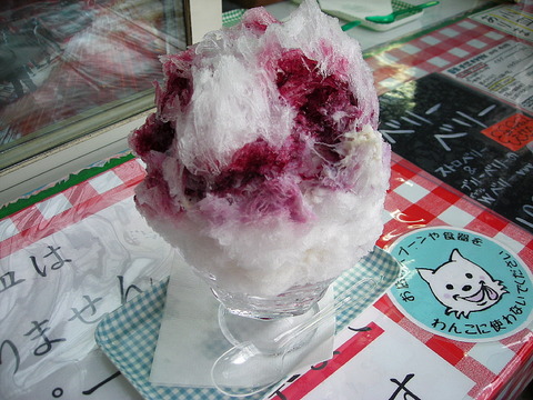 Photo0117
