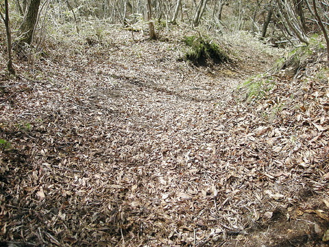 Photo0034