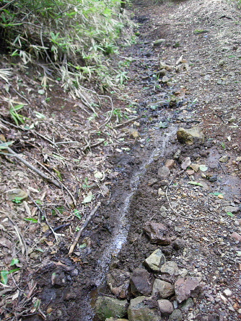 Photo0193