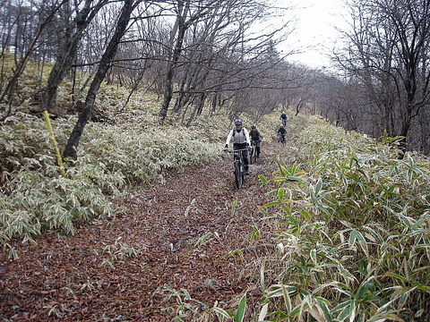 Photo0016