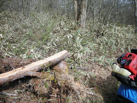 Photo0080