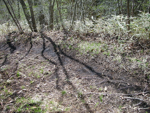 Photo0042
