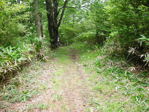 Photo0013